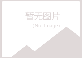 清水河县夏青保险有限公司